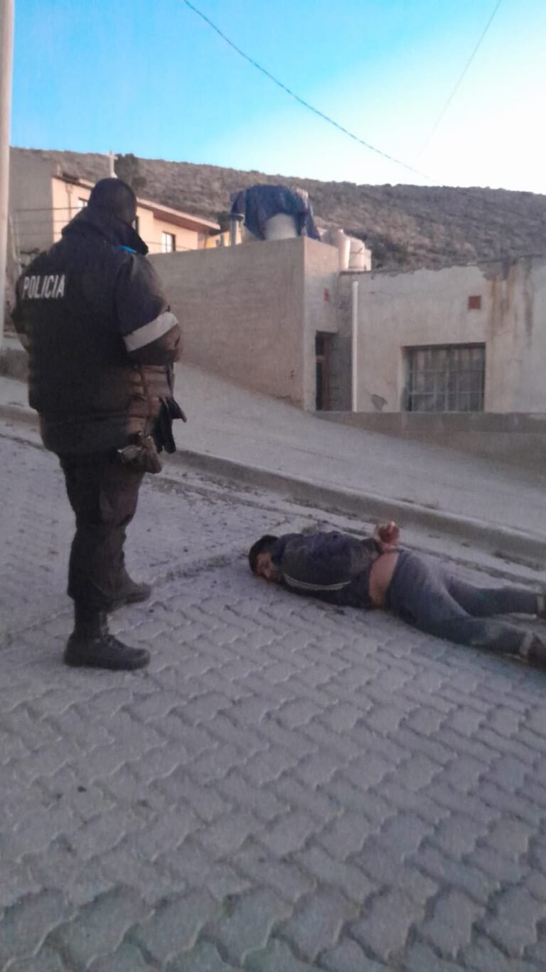 Fuga, piedrazos y captura: así terminó un robo de cables en Sixto Ojeda