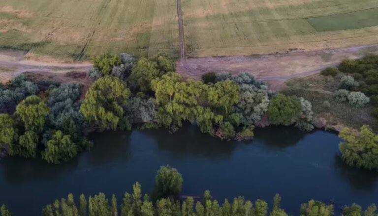 Intensa búsqueda de un hombre y sus hijos: se tiraron al río y los arrastró la corriente