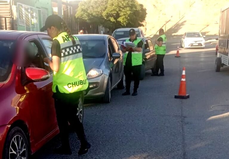 Más de 8.000 vehículos controlados durante el fin de semana: retiraron a 58 conductores de la ruta