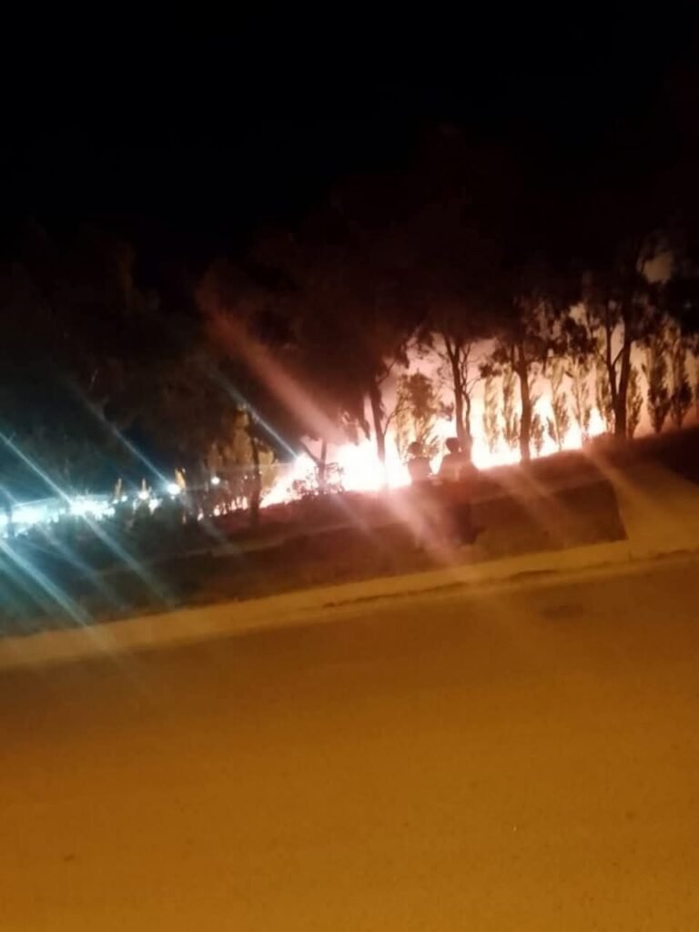 Preocupación en Palazzo: menores provocaron un incendio con pirotecnia