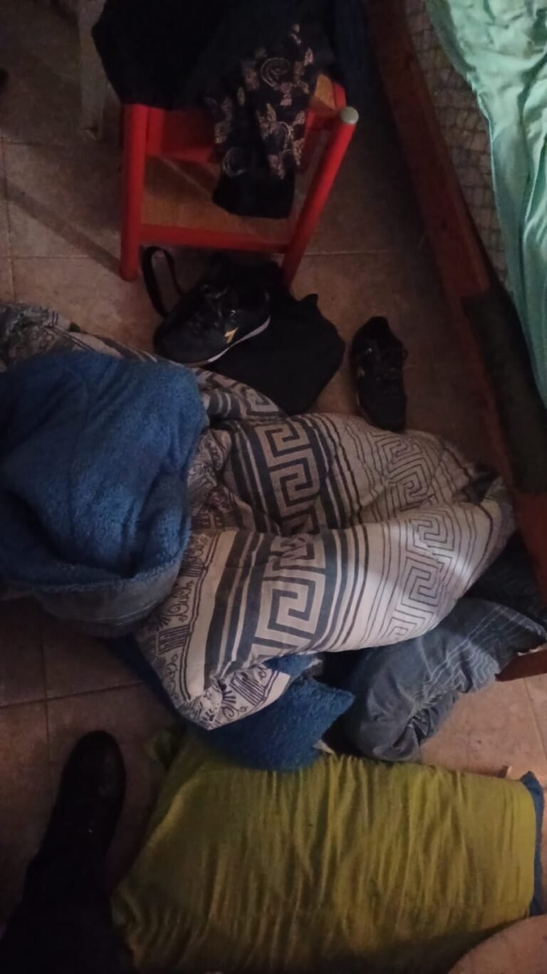 Saltó un paredón y forzó la puerta para robar: la propietaria lo descubrió y pidió auxilio