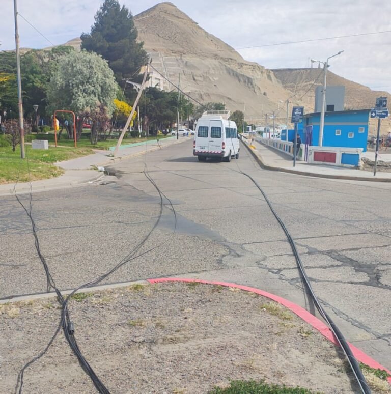 Cayó una palma de luz y dejó cables sueltos en la Costanera