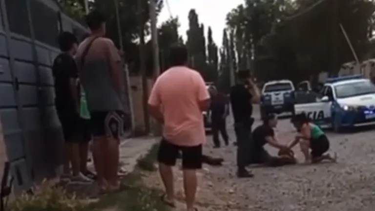 Un patrullero que circulaba a toda velocidad atropelló a una nena: está grave