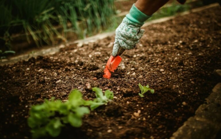 Dictarán un taller para aprender a cultivar alimentos de manera sustentable y sin agrotóxicos