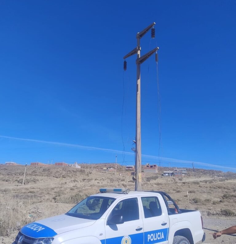 Una policía fue atacada por un dogo durante una persecución tras un robo de cable