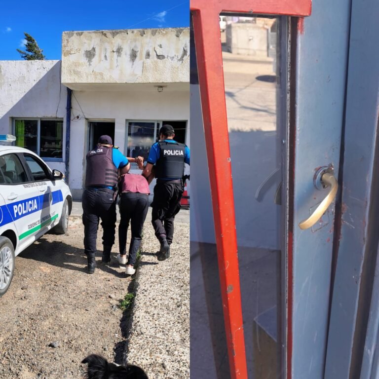 Frustran robo en una carnicería: Detienen a un “Trapito” tras Intentar forzar la puerta