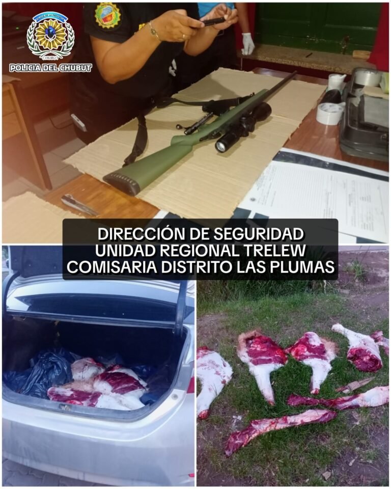 Caza ilegal en Chubut: detención, armas secuestradas y un guanaco decomisado