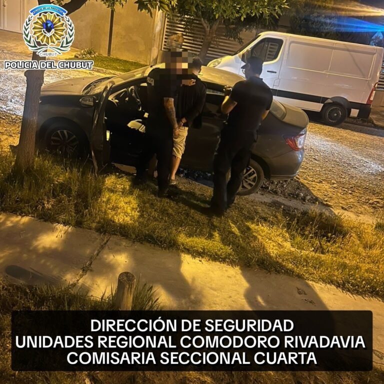 Intentó robar un auto, pero la propietaria lo vio y fue detenido