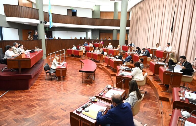 La Legislatura extendió el período de sesiones y aprobó una nueva ley de adopciones en Chubut