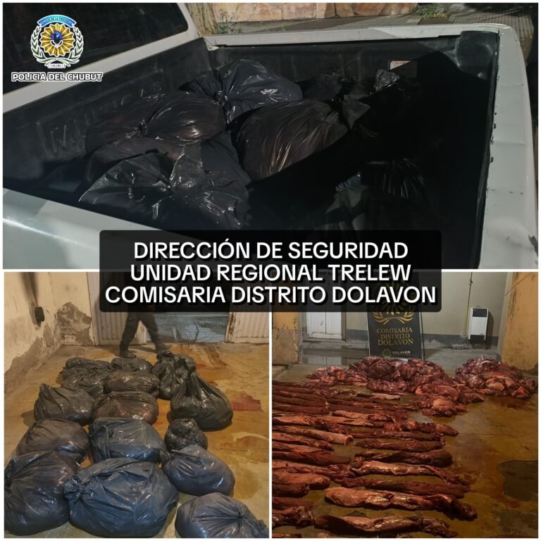Cayó en un control: viajaba con 525 kilos de carne de guanaco y estaba prófugo de la Justicia