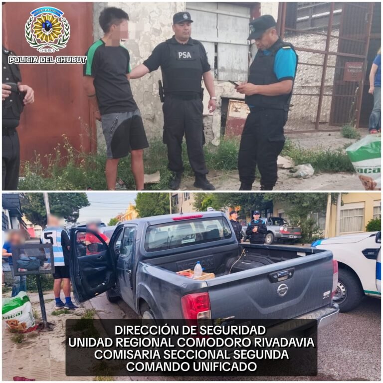 Un joven intentó robar una camioneta, pero la víctima lo alcanzó y forcejeó con él