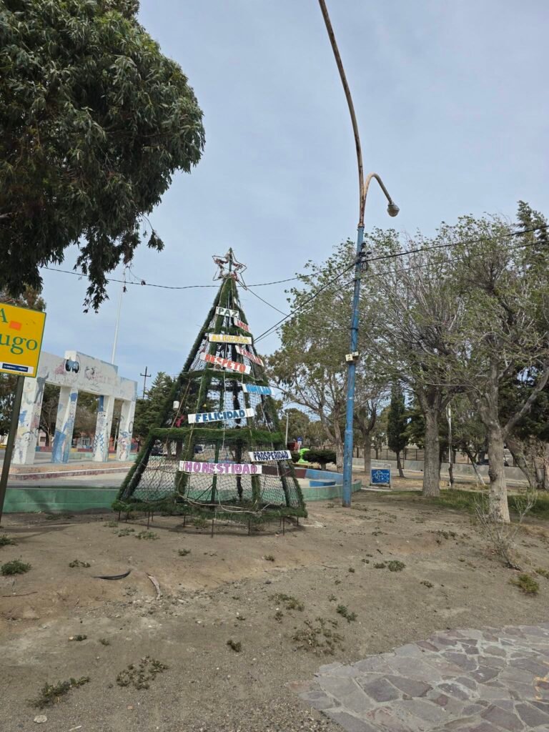 La vecinal de Palazzo invita a sumar adornos al árbol navideño de la plaza César Brugo