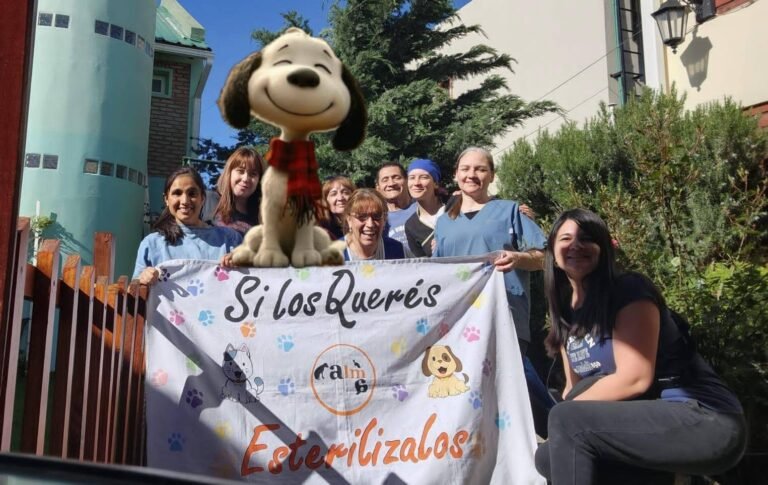 ALMA alcanzó 2000 castraciones en un año: “Evitamos miles de nacimientos en la calle”