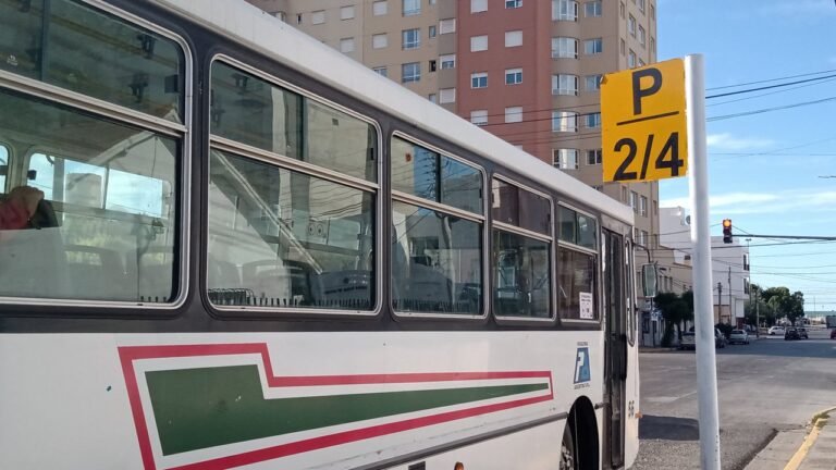 El proceso licitatorio del transporte público entra en su tramo decisivo