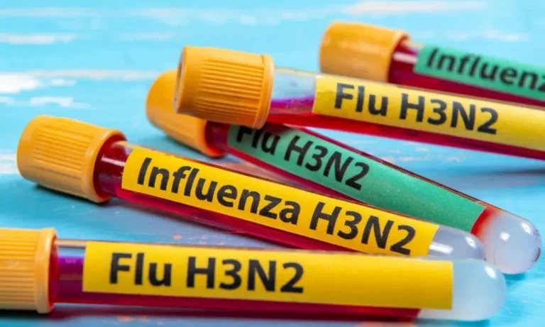 Detectan tres casos de influenza H3N2 en el país: dos son de la Patagonia