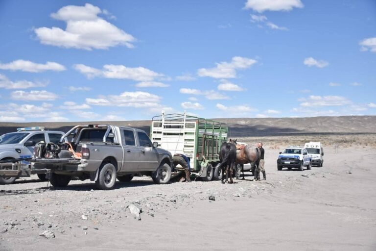 Sin rastros de Maria José: Una búsqueda que mantiene en vilo a toda la Comunidad