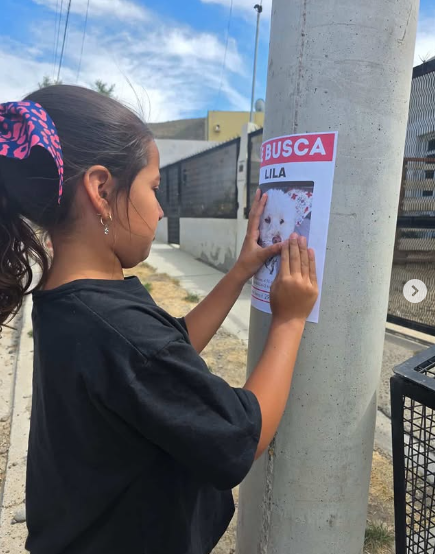 Desesperación en Km 12: su perrita Lila se perdió y su hija pegó carteles por toda la zona