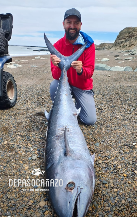 Primer registro en la zona: apareció un atún argentino de 1,70 metros en Rocas Coloradas