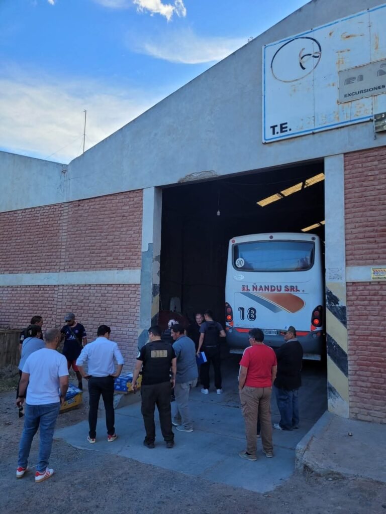 Investigan presunta comercialización ilegal de carne de guanaco y realizaron allanamientos 