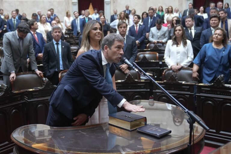 Juan Pablo Luque juró como diputado nacional