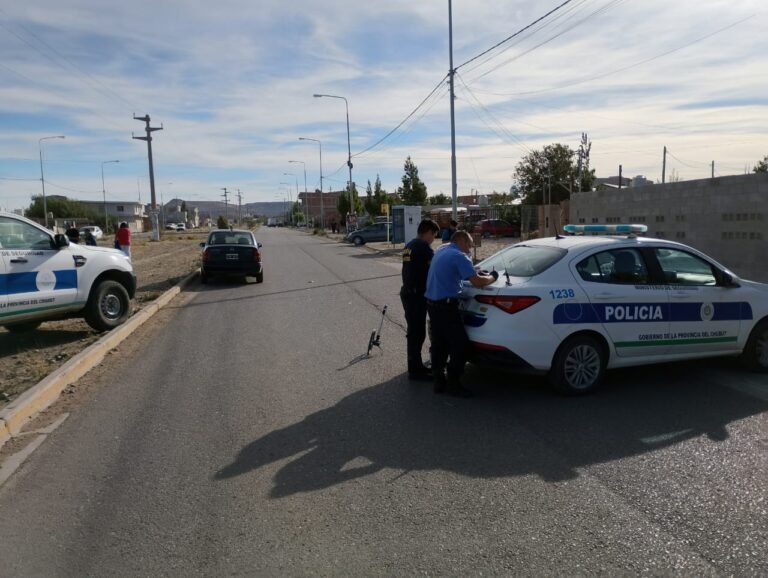 Se asustó por un perro, cruzó la avenida y fue atropellada: terminó hospitalizada