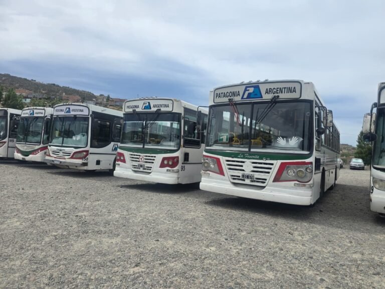 Sin colectivos en las líneas 1, 12, 2 y 4A por inseguridad y hechos violentos