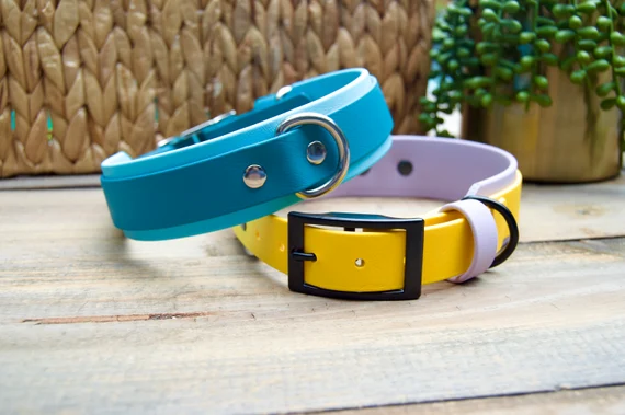 Temen más pérdidas de perros por pirotecnia y lanzan campaña urgente de donación de collares