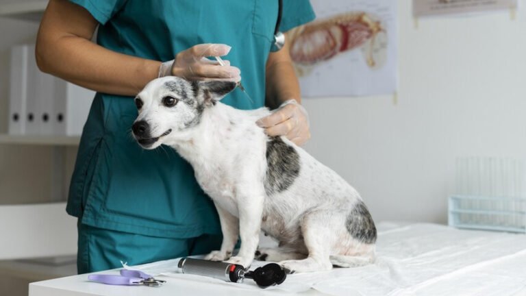 Habrá una jornada gratuita de vacunación antirrábica en el Ceferino