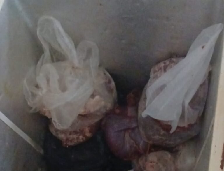 Una menor de 5 años contrajo SUH tras consumir carne comprada en redes sociales