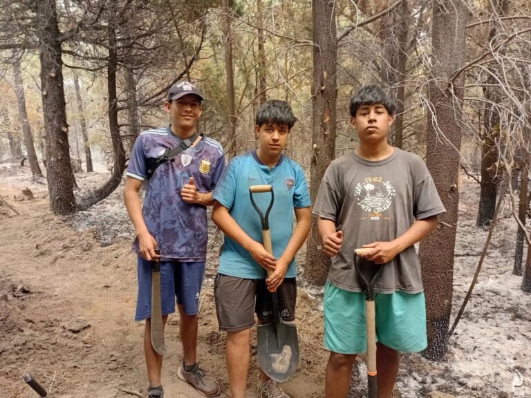 Con apenas 15, 16 y 17 años, cruzaron el lago Epuyén para enfrentar el incendio