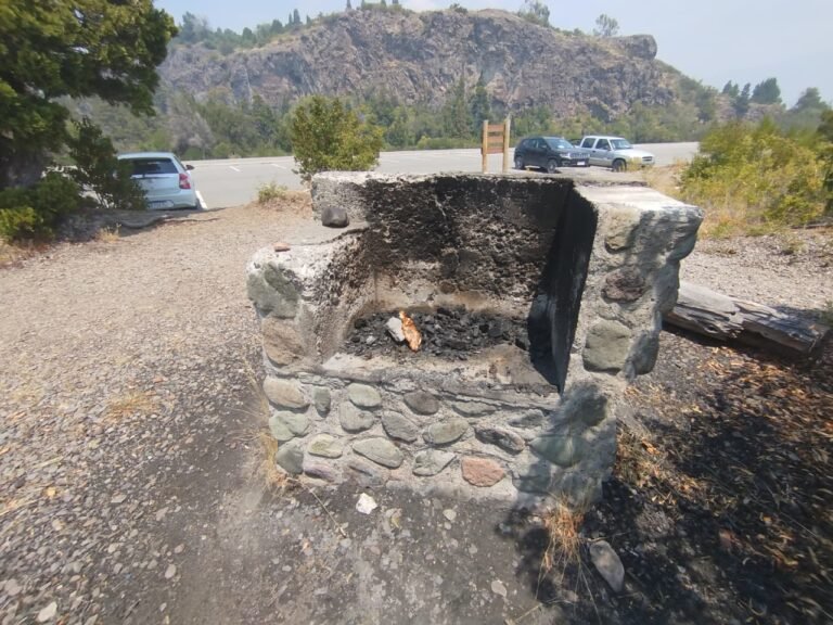 En plena emergencia, turistas hicieron un fuego en Los Alerces y terminaron multados