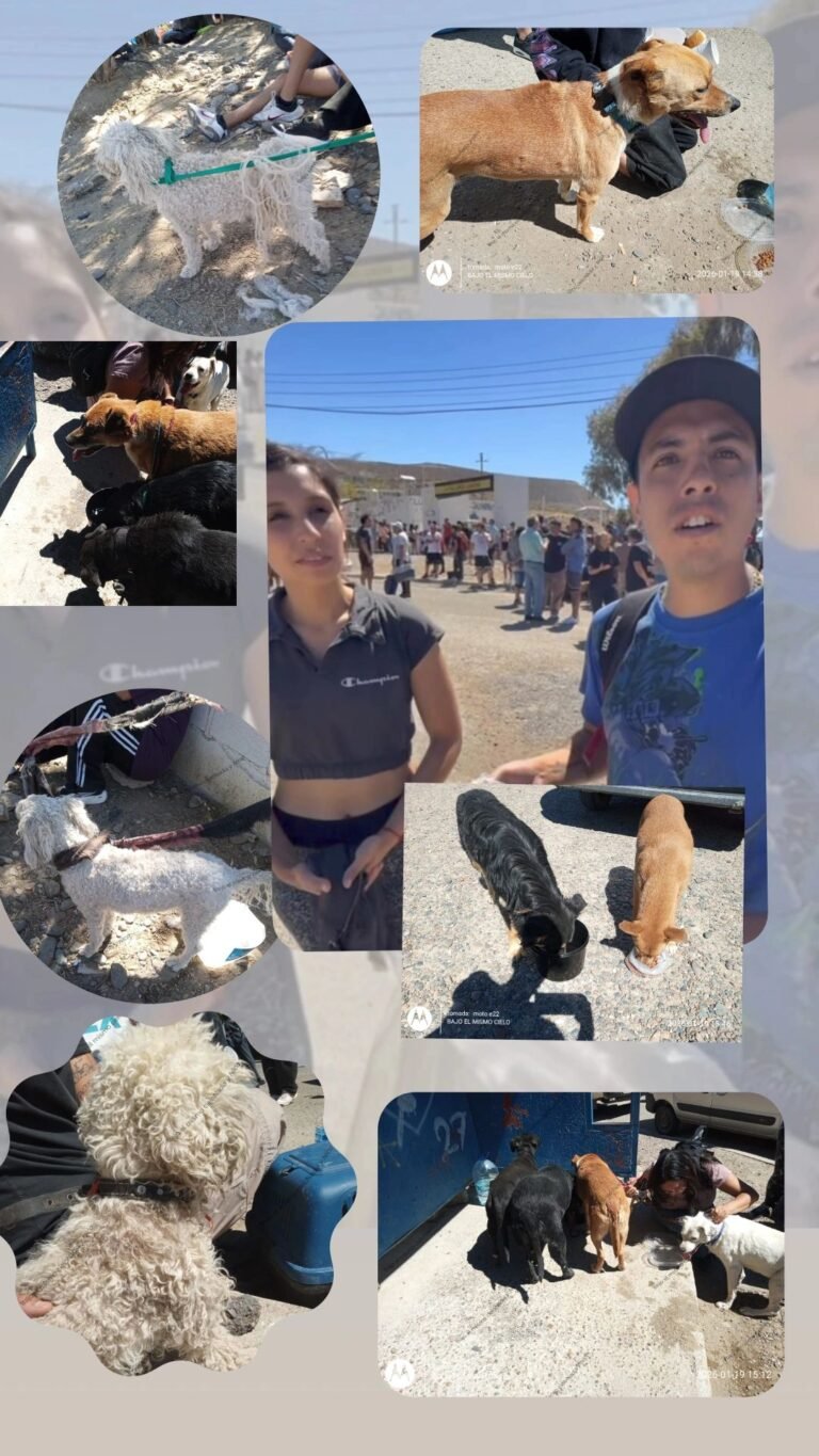 “Héroes de Sismográfica, sin capa pero con alma”: destacan la labor de dos jóvenes rescatistas