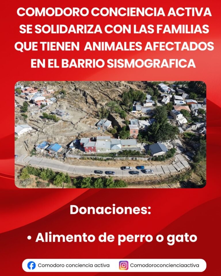Lanzan una campaña solidaria para asistir a perros y gatos tras el derrumbe del Cerro Hermitte