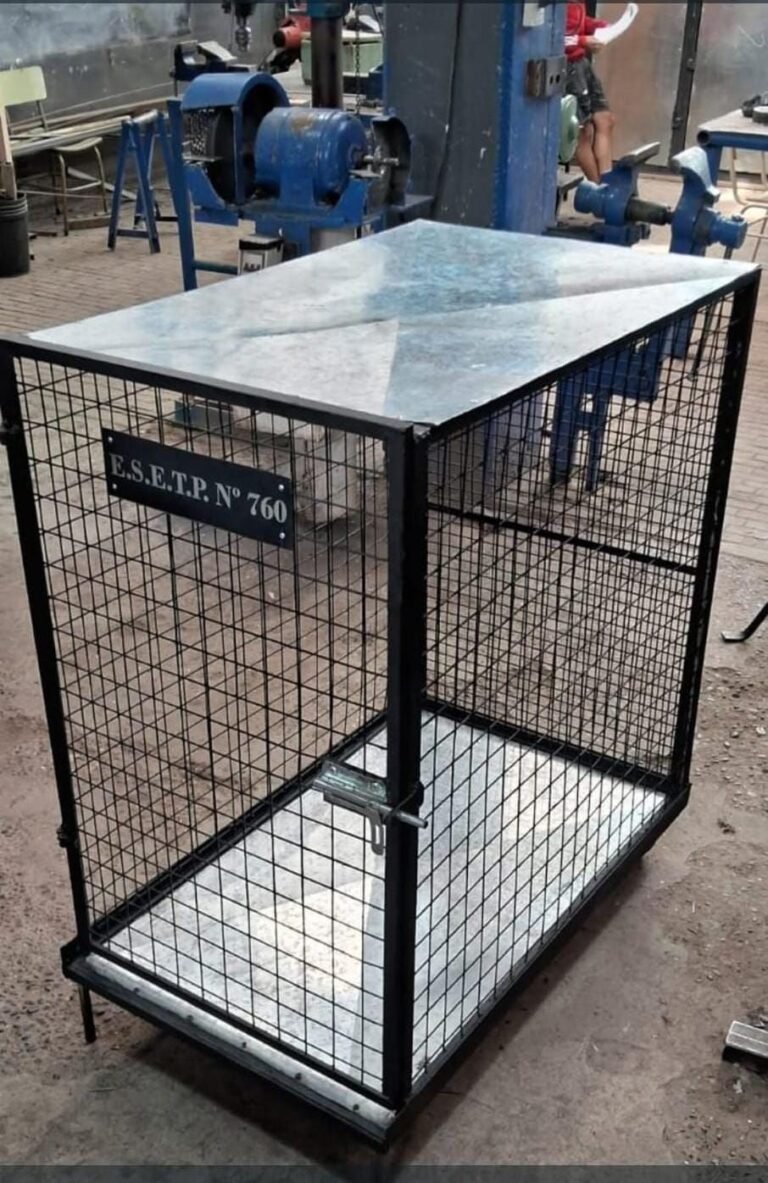 Estudiantes construyeron una jaula con ruedas y la ofrecen para el traslado de mascotas en Sismográfica