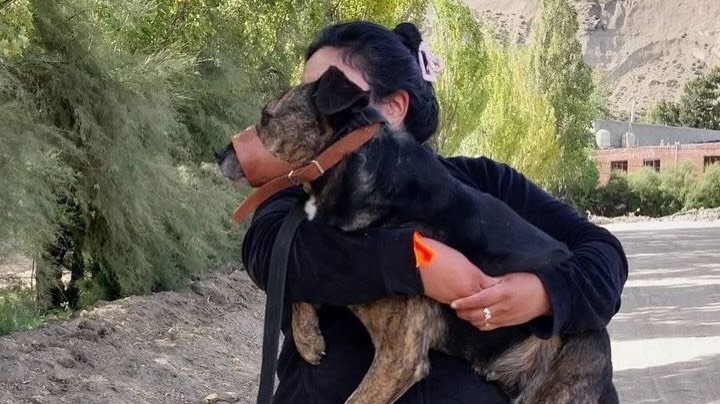 Continúa la ayuda solidaria en Sismográfica y piden donaciones para perros rescatados