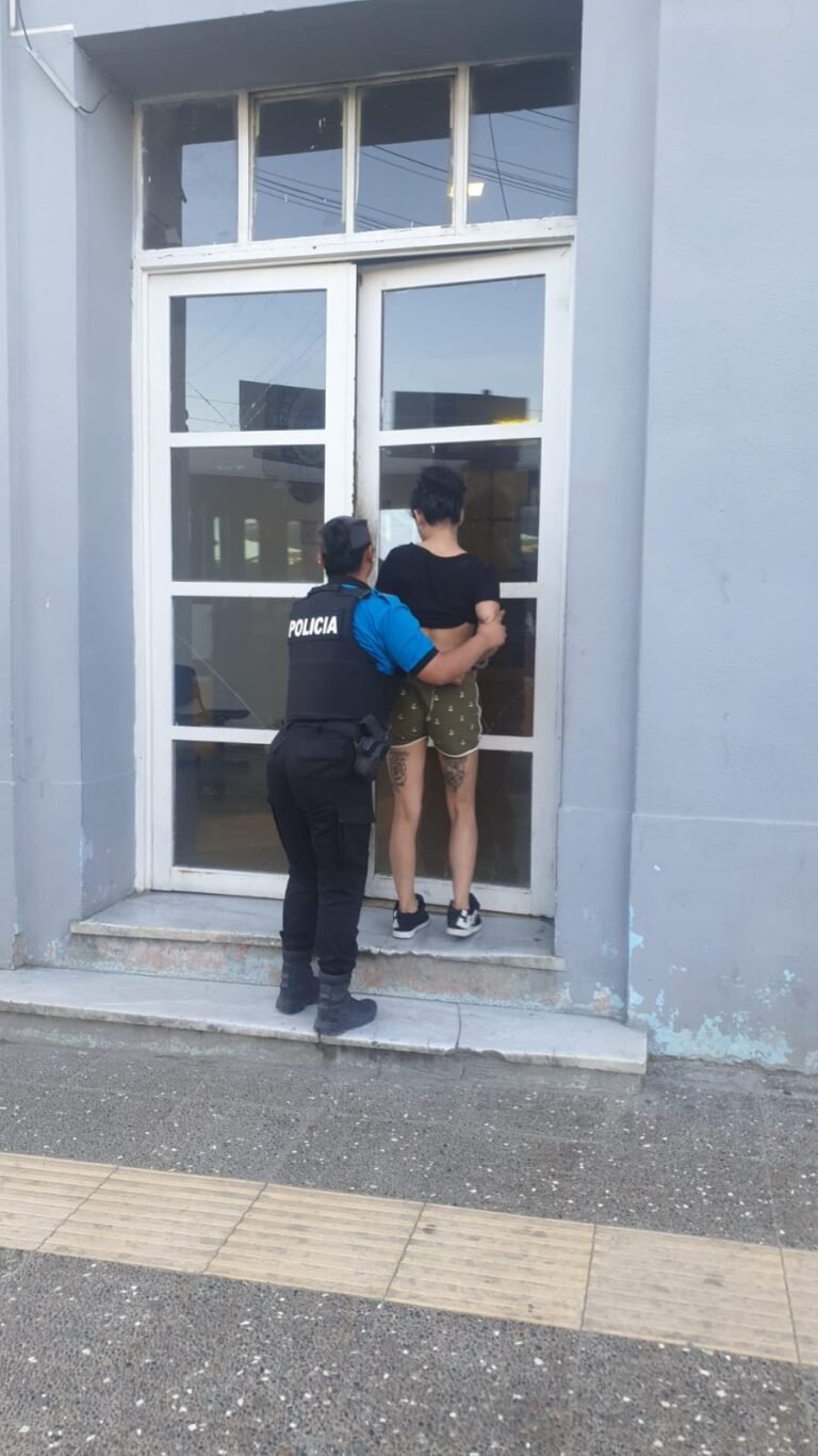 Disturbios en pleno Centro: una joven insultó a policías, los invitó a pelear y fue demorada