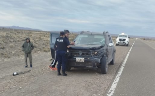 Un comodorense chocó contra un guanaco cuando viajaba por la Ruta 26