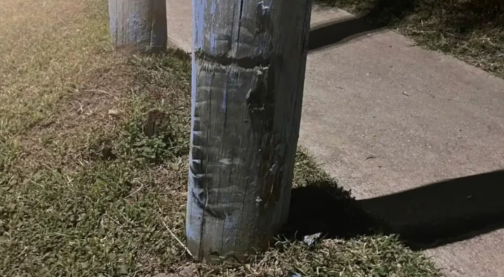 Una nena de 13 años manejaba una moto y chocó contra un poste: está internada en grave estado