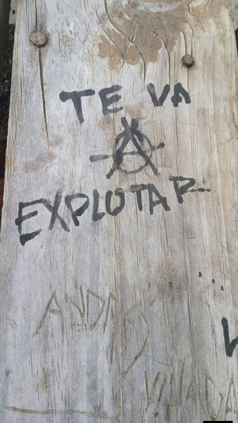 Despliegan fuerzas especiales ante la aparición de carteles amenazantes y el hallazgo de granadas en Epuyen