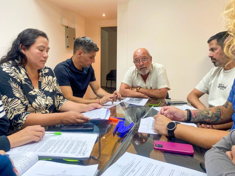 El Concejo Deliberante: declaró la emergencia geológica y urbanística alrededor del Cerro Hermitte 