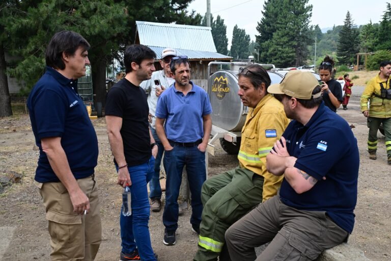 Torres recorrió la zona afectada por el incendio del Parque “Los Alerces” y destacó el trabajo conjunto con otras provincias