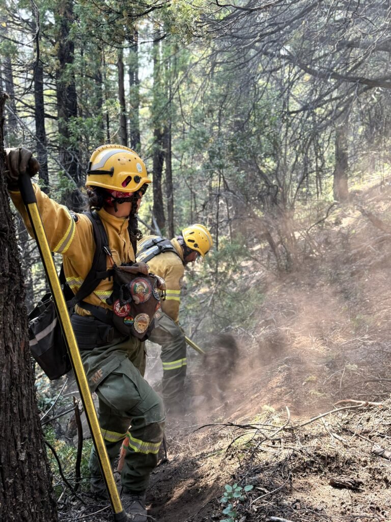 Incendio en el Parque Nacional: bomberos voluntarios de Chile se suman a los más de 500 brigadistas provinciales y nacionales
