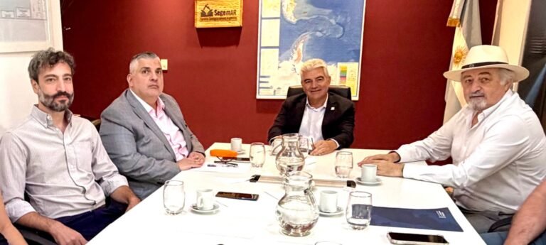 Othar analizó junto al presidente del SEGEMAR el informe técnico sobre el cerro Hermitte