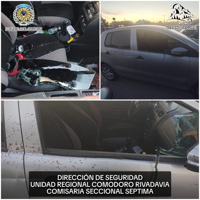 Rompió el vidrio de un auto, escapó herido y fue detenido mientras vecinos arrojaban piedras