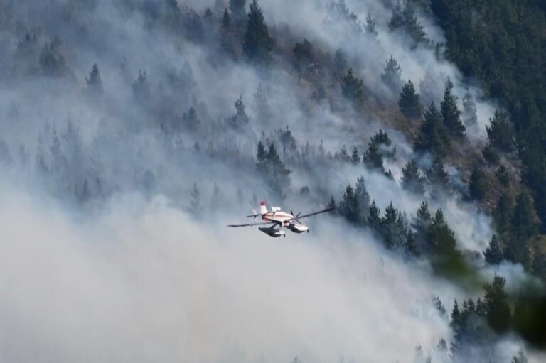 Incendios forestales: Refuerzan el despliegue de brigadistas y medios aéreos en Villa Lago Rivadavia