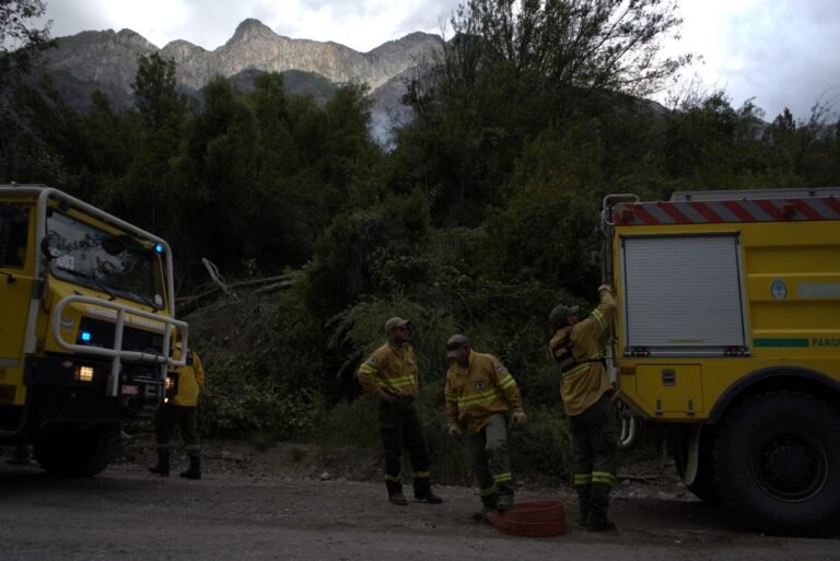 Incendios:  Torres le pidió al Gobierno que evalúe remover a las autoridades del Parque Los Alerces