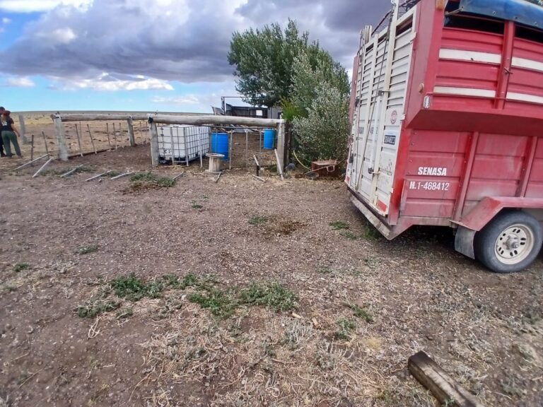 Un joven peón rural se encuentra en grave estado tras caer de su caballo