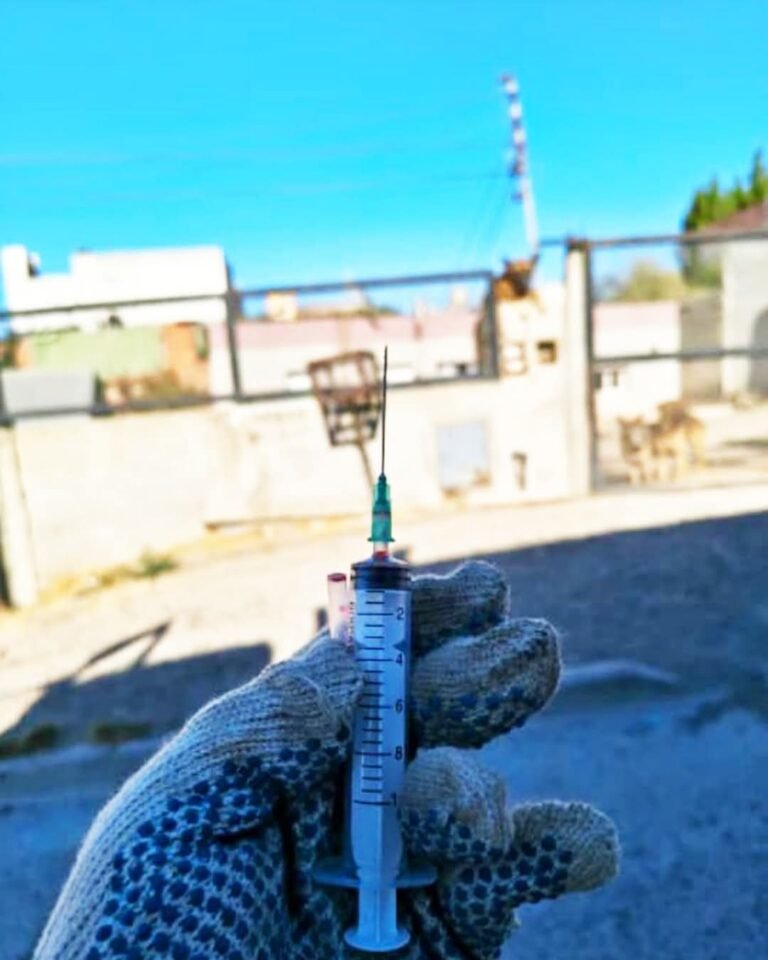 Alerta por residuos patogénicos: un recolector sufrió un accidente con una jeringa en plena jornada laboral