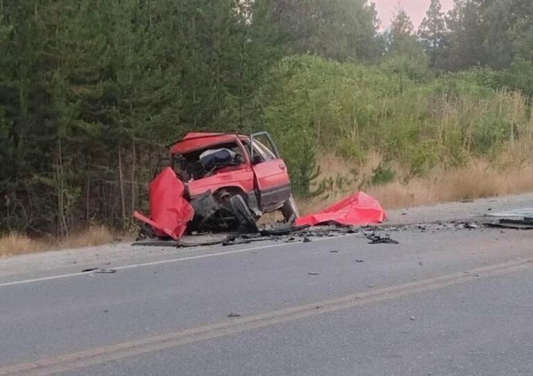 La víctima fatal del choque en la Ruta 40 escapaba del fuego junto a su perro y había ayudado a combatir los incendios