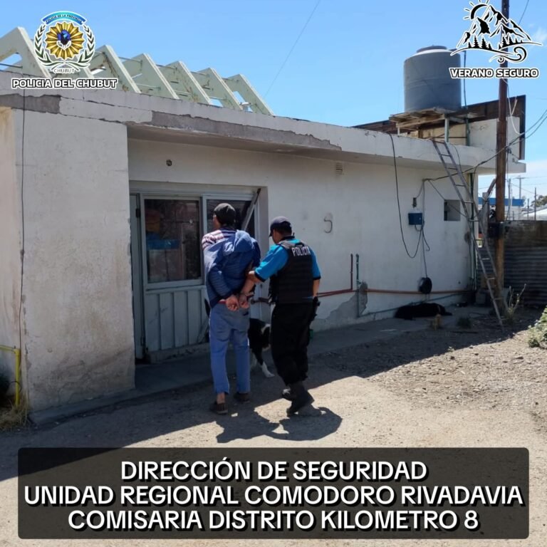 Sustrajo un celular de una rotisería, huyó y trató de descartarlo al ser detenido